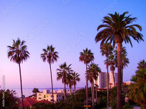 Palm Trees at Dusk in San Diego © Brian Swanson