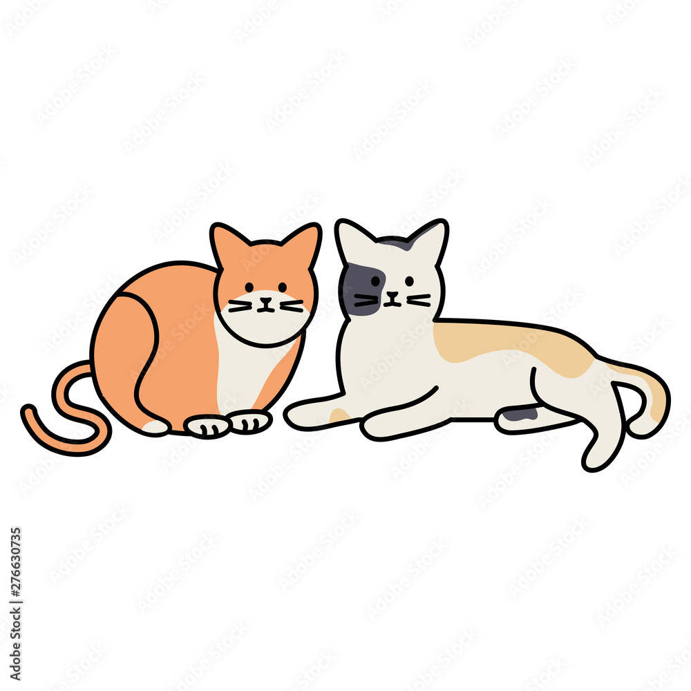 cute cats mascots adorables characters