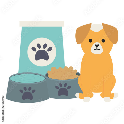 little dog adorable with dishes food and water