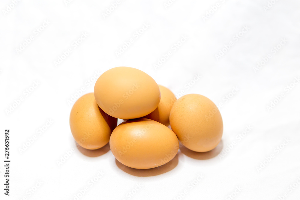 Brown Egg Isolated on White Background Brown Egg Isolated on White Background