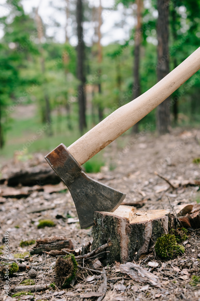 Heavy, sharp axe with wooden handle on wood stump in forest Heavy, sharp axe with wooden handle on wood stump in forest