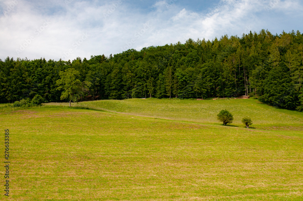 landscape with green field and trees landscape with green field and trees