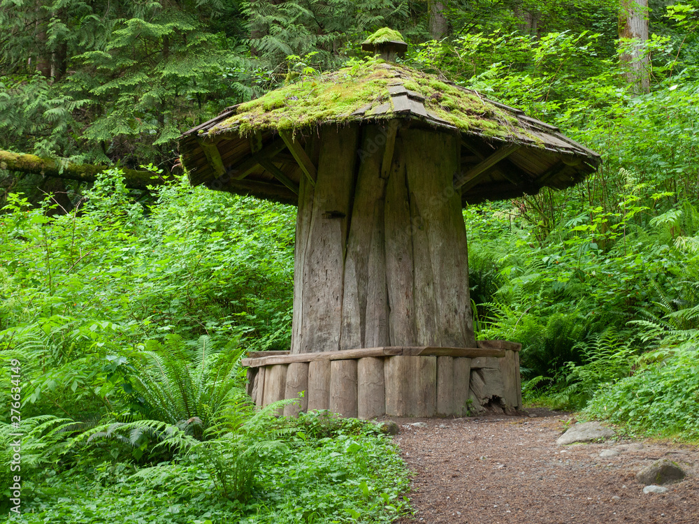 Shelter made from massive old growth stump