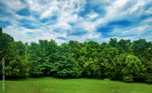 Kentucky Bluegrass Backyard Trees line with Dramatic Cloudy Background Forest sustaining fresh air habitat for native trees, animals and ecology.