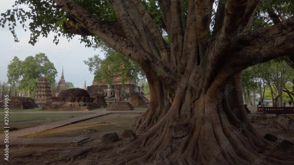 Thai historical park of sukothai with big roots banyan tree and buddhist temple. Handled shoot with eye angle. Thai historical park of sukothai with big roots banyan tree and buddhist temple. Handled shoot with eye angle.