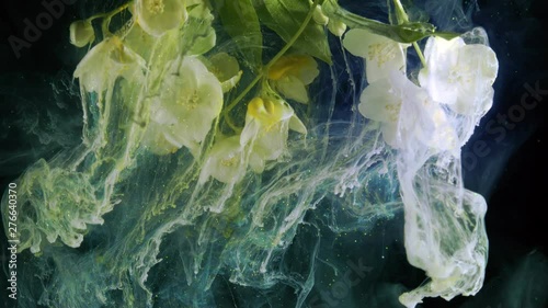 Wallpaper Mural Blooming jasmine flowers. Colorful ink in water. Torontodigital.ca