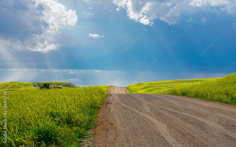 Rays of sunshine shining down on a country road and fields of yellow wildflowers and green grass Rays of sunshine shining down on a country road and fields of yellow wildflowers and green grass