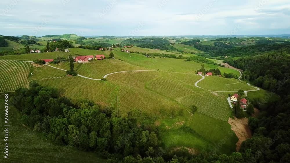 Aerial landscape orbit shot of vineyards on hills slovenia europe. Aerial landscape orbit shot of vineyards on hills slovenia europe.