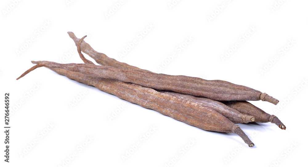 Cutting dry Moringa drumstick on white background