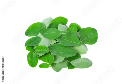 Moringa oleifera leaves isolated on white background
