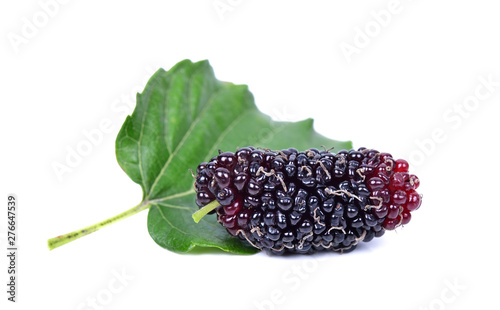 Mulberry with leaf isolated on white background
