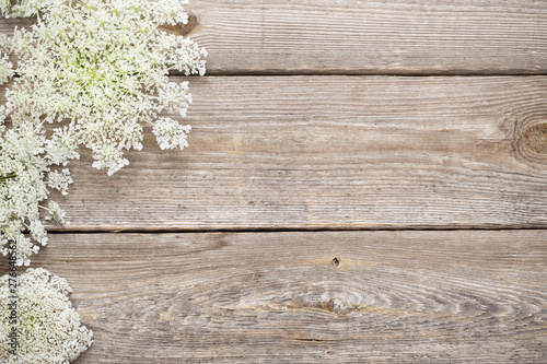 white wildflowers on old wooden background