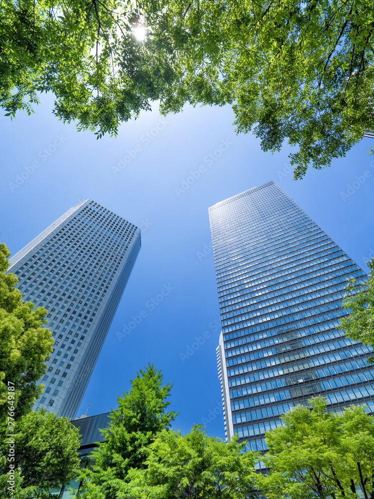 新緑の新宿高層ビル街