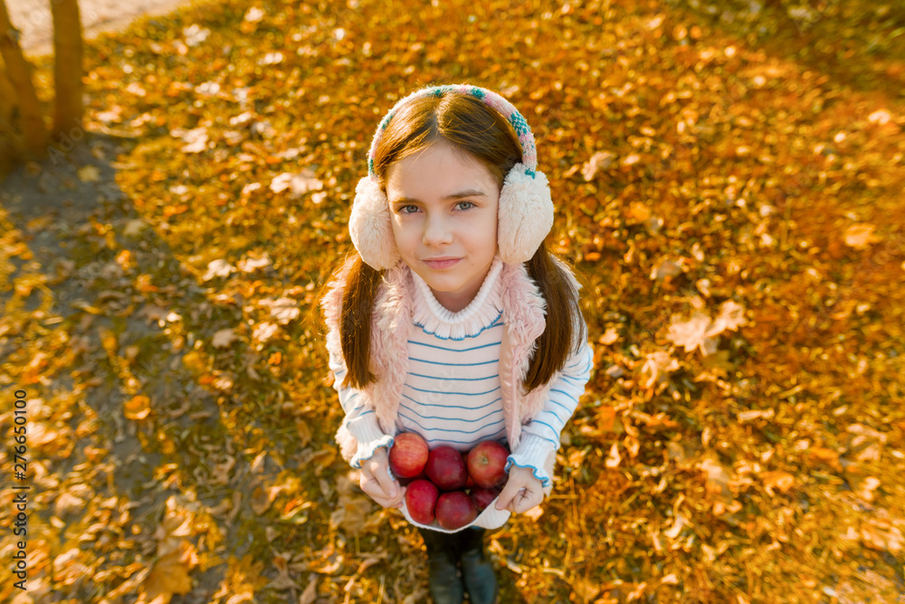 Harvesting, little beautiful girl with apples in autumn park Harvesting, little beautiful girl with apples in autumn park