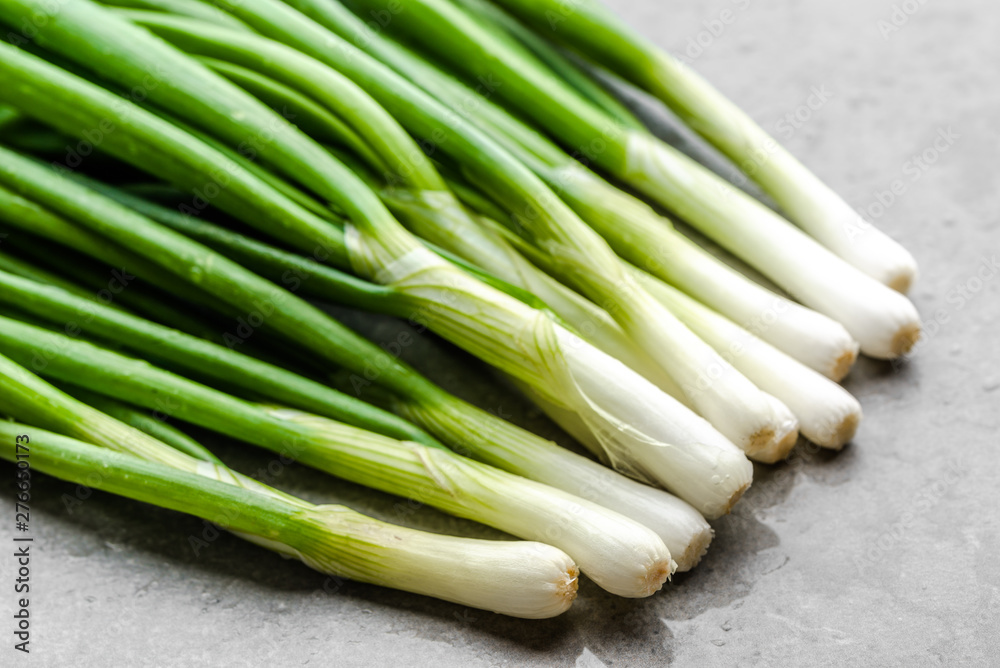 Bunch of fresh spring onion. Farm fresh organic vegetables freshly harvested from the garden. Bunch of fresh spring onion. Farm fresh organic vegetables freshly harvested from the garden.