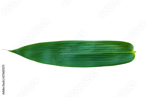 Bamboo leaf isolated on white background.Leaf pattern leaves bamboo or abstract background . photo