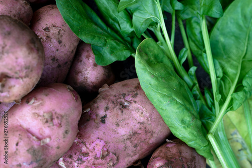 Fresh organic home grown vegetables. Produce harvested from vegetable patch  potatoes and spinach