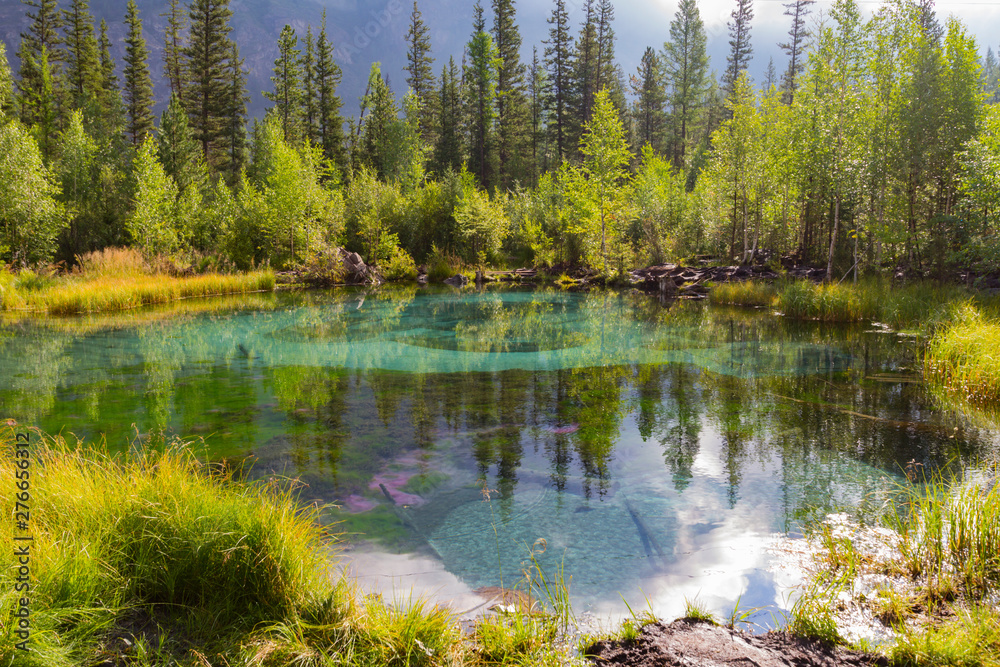 The green thermal lake near Aktash, Altai mountains. Picturesque landscape with coniferous trees. Summer concept