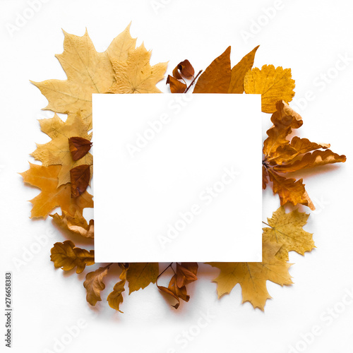 Yellow leaves frame