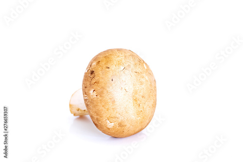 Fresh champignon mushrooms on white background, Isolated food and nature object