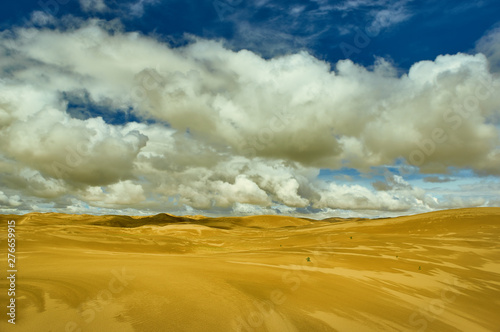 Mongolia. Sands Mongol Els