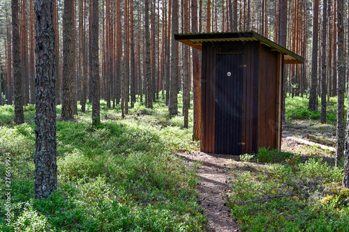 Out house in a forest of pine trunks photo