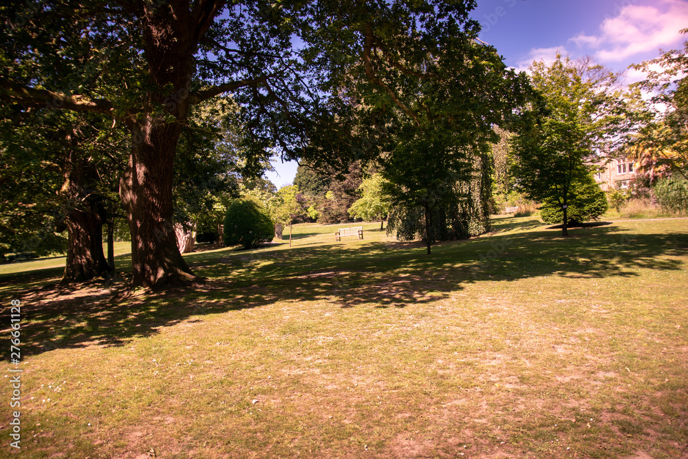 Scenic nature picture of trees and grass in Clyne gardens, Swansea