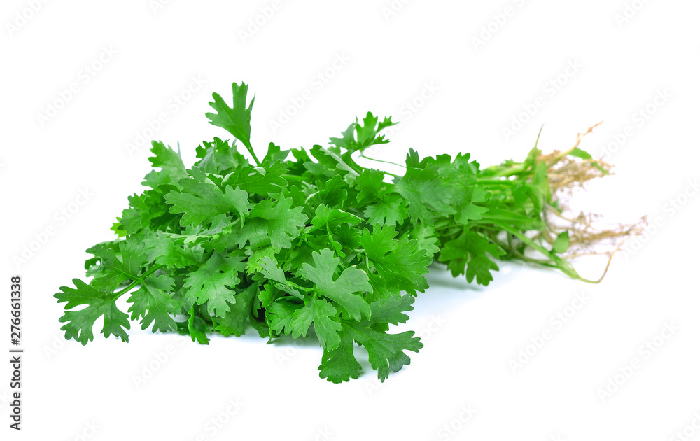 Cutout of fresh Coriander (Coriandrum sativum) leaves on white background Cutout of fresh Coriander (Coriandrum sativum) leaves on white background