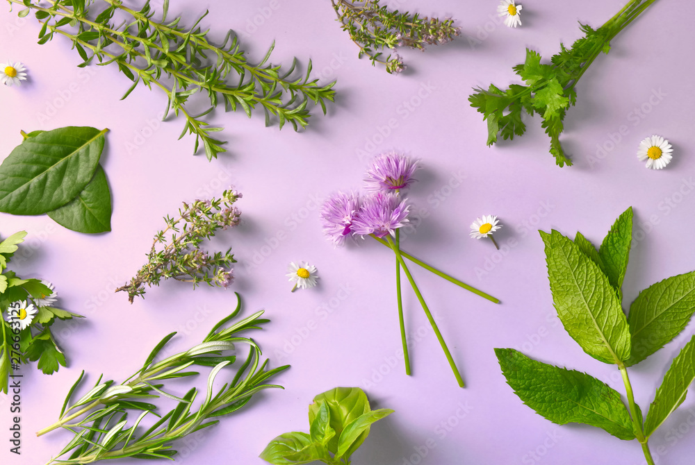 top view on various aromatic fresh herbs with little daisies on pink background - obrazy, fototapety, plakaty 