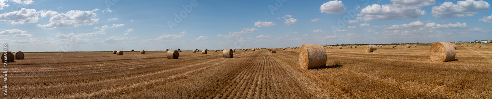 haystacks lie on a field harvesting