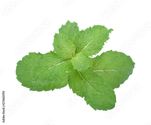 mint leaves isolated on white background