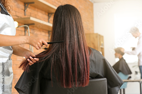 Professional hairdresser cutting client's hair in beauty salon