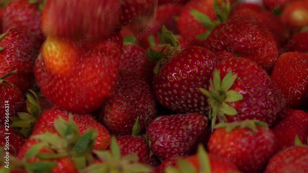 Freshly harvested strawberries falling on a pile of strawberries one by one- 180 fps slow motion Freshly harvested strawberries falling on a pile of strawberries one by one- 180 fps slow motion