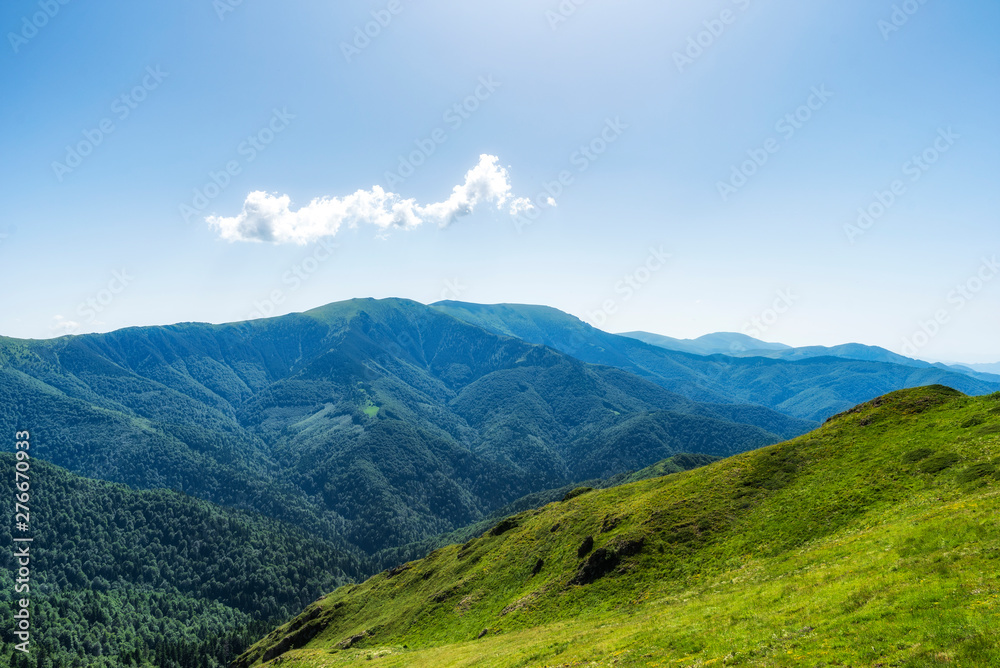 Panoramic morning scene, beauty summer mountain landscape, attractive view of green forest valley