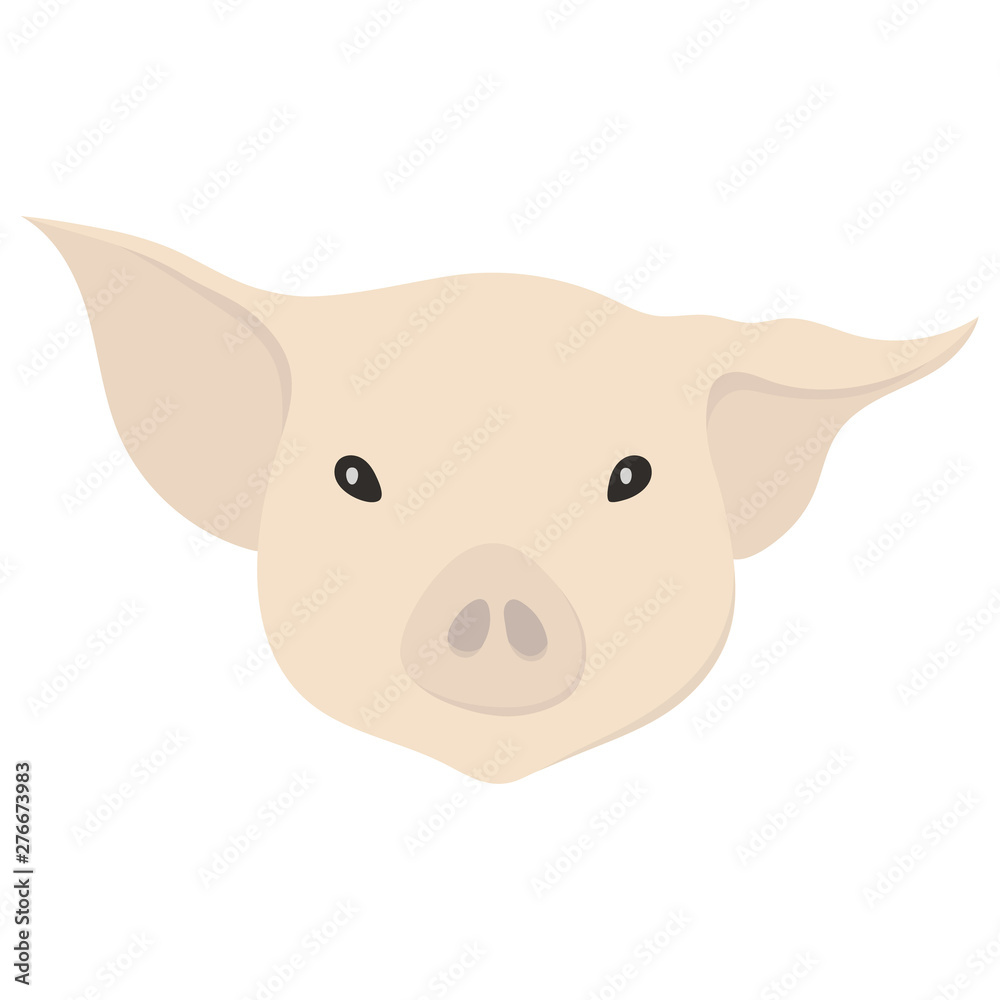 Vector illustration of a pig's head in flat style. Vector illustration of a pig's head in flat style.