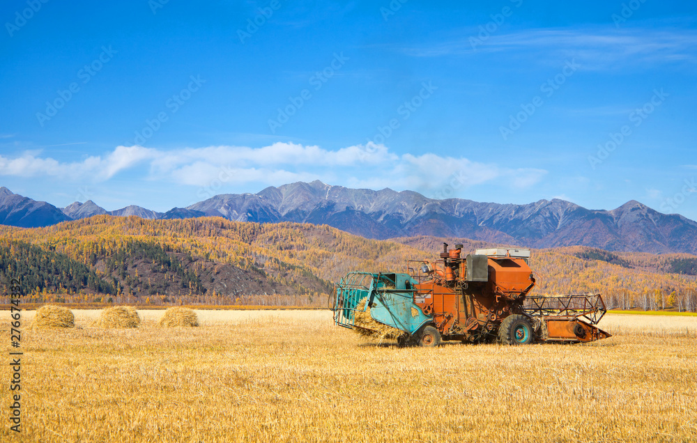 Fototapeta premium Combine harvester working in the field in the Siberian Tunka valley against the background of the Eastern Sayan Mountains. Beautiful autumn rural landscape
