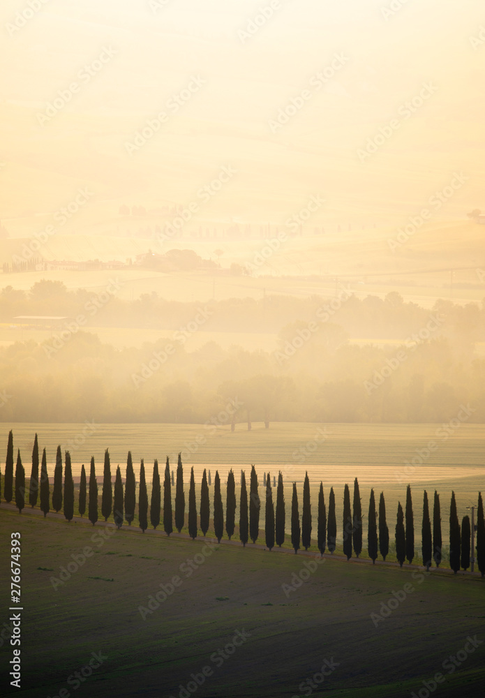 Obraz premium Countryside near Pienza, Tuscany, Italy