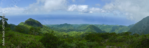 panorama of mountains Pelée with tropical forest Martinique island