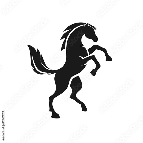 standing horse side view black vector silhouette design
