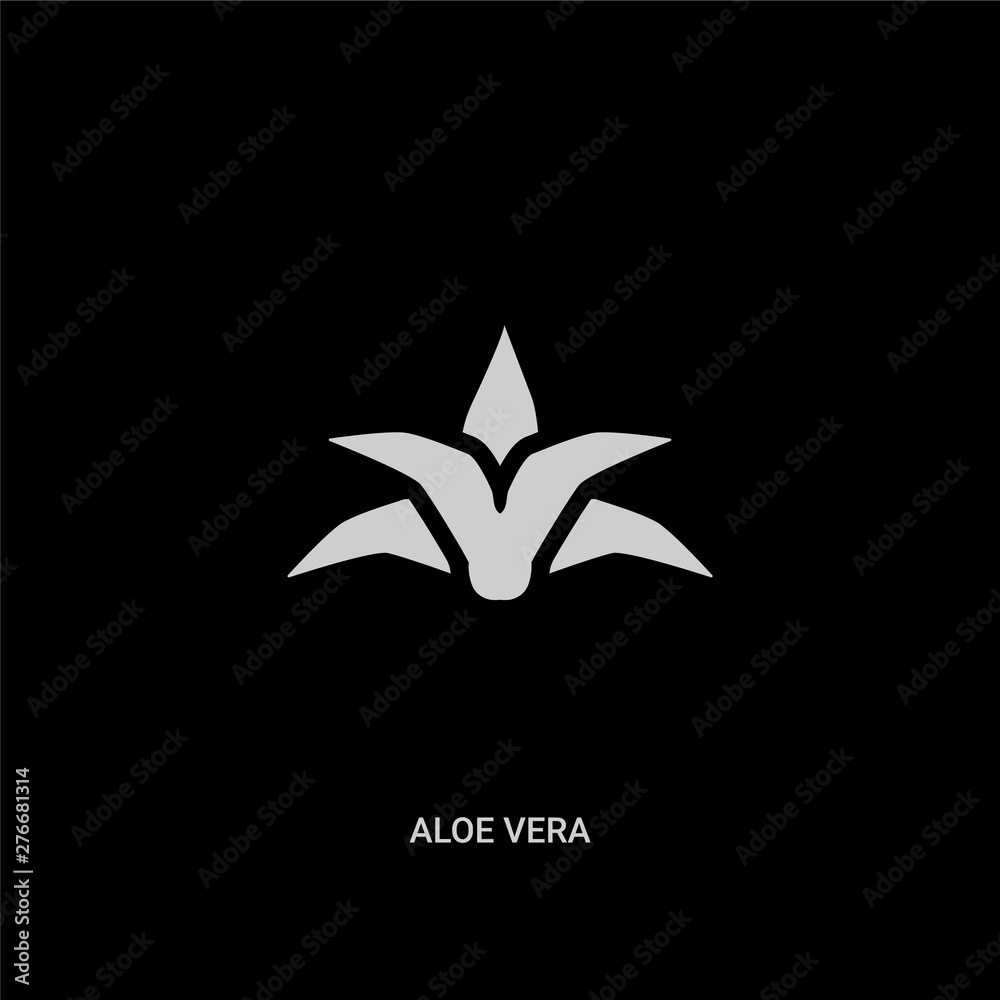white aloe vera vector icon on black background. modern flat aloe vera from beauty concept vector sign symbol can be use for web, mobile and logo. white aloe vera vector icon on black background. modern flat aloe vera from beauty concept vector sign symbol can be use for web, mobile and logo.