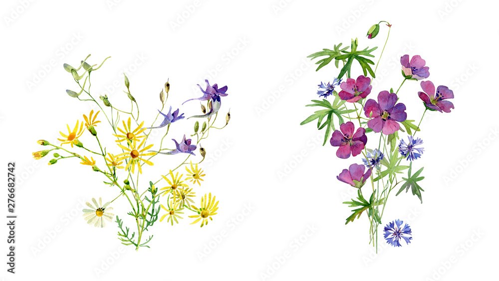Two watercolor bouquet of wild flowers on a white background