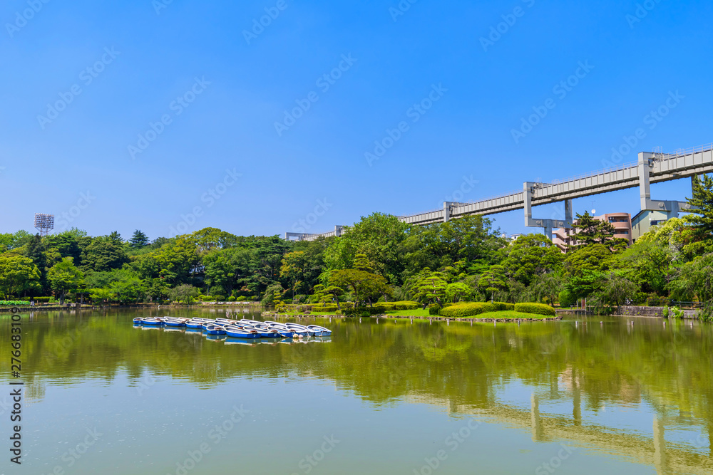 Fototapeta premium 千葉公園の綿打池の風景