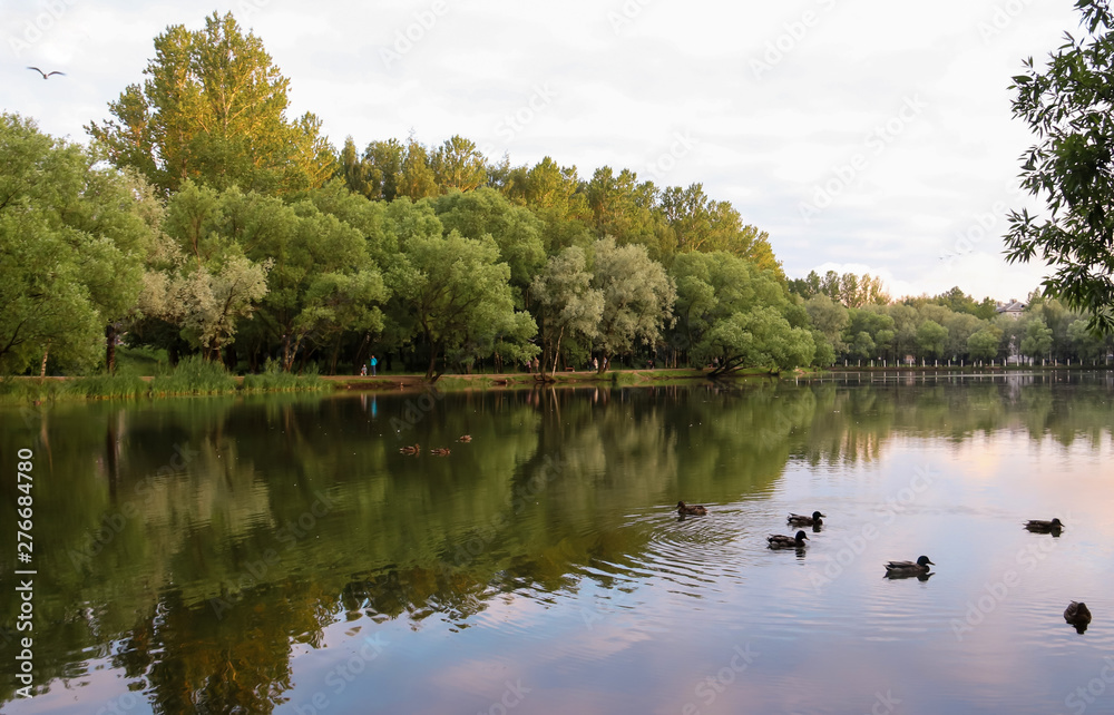 Yaroslavl. Warm evening in Neftyanik Park. Park refinery. Reflection of colorful sunset in the lake. Peace and quiet surrounded by green trees Yaroslavl. Warm evening in Neftyanik Park. Park refinery. Reflection of colorful sunset in the lake. Peace and quiet surrounded by green trees