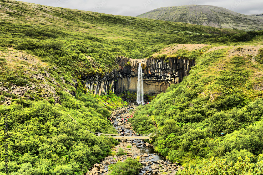 Fototapeta premium Svartifoss (Black Falls) - waterfall in Skaftafell in Vatnajökull National Park in Iceland,