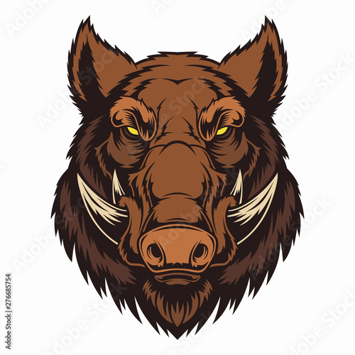 Wild boar head mascot.