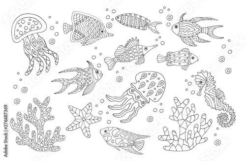 Hand drawn sea fish, coloring page