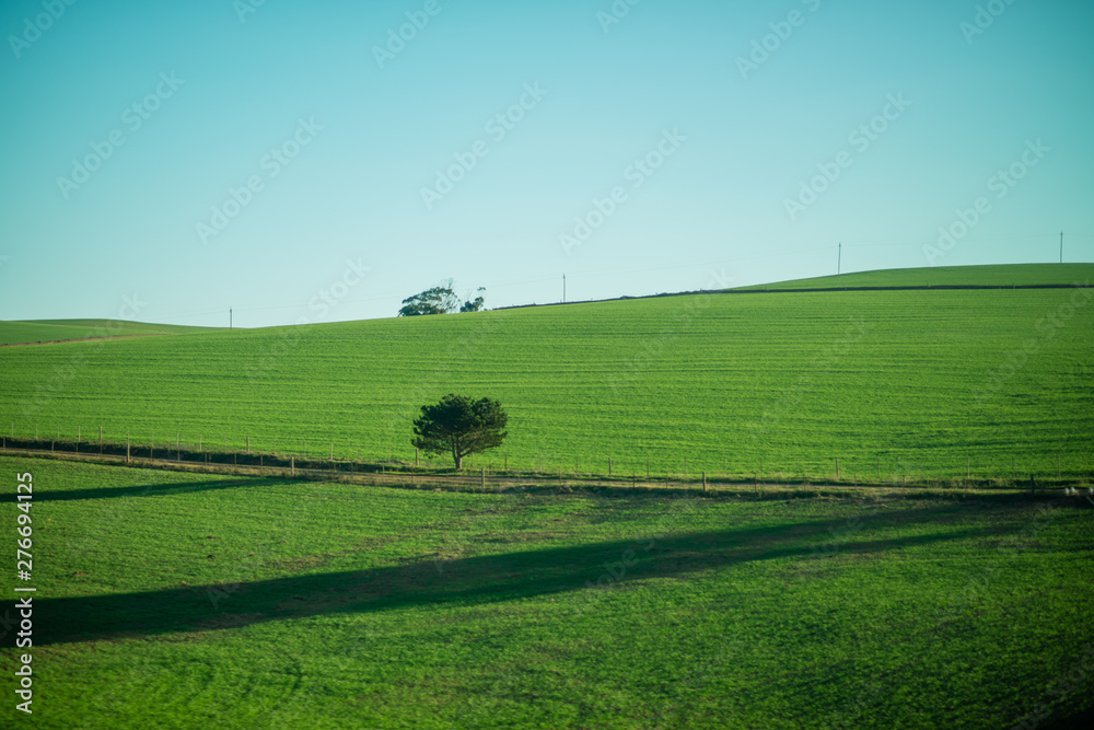 Naklejka premium Green fields with clean sky in the background