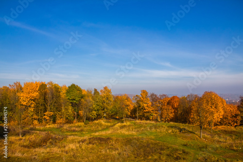Smolensk forests are especially nice in autumn, when they are covered with multi-colored foliage.