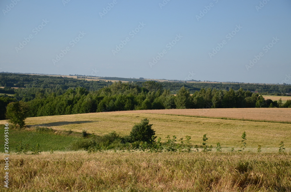 krajobraz, pola, niebo, charakter, gras, rolnictwa, lato, hayfield, zieleń, obszarów wiejskich, countryside, farma, drzew, blękit, kraj, drzew, górka, chmura, pola, rolnictwa, jary, chmura, kraina, zi