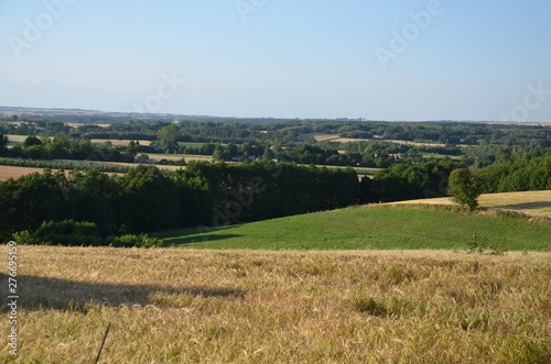 krajobraz  pola  niebo  charakter  gras  rolnictwa  lato  hayfield  ziele    obszar  w wiejskich  countryside  farma  drzew  bl  kit  kraj  drzew  g  rka  chmura  pola  rolnictwa  jary  chmura  kraina  zi